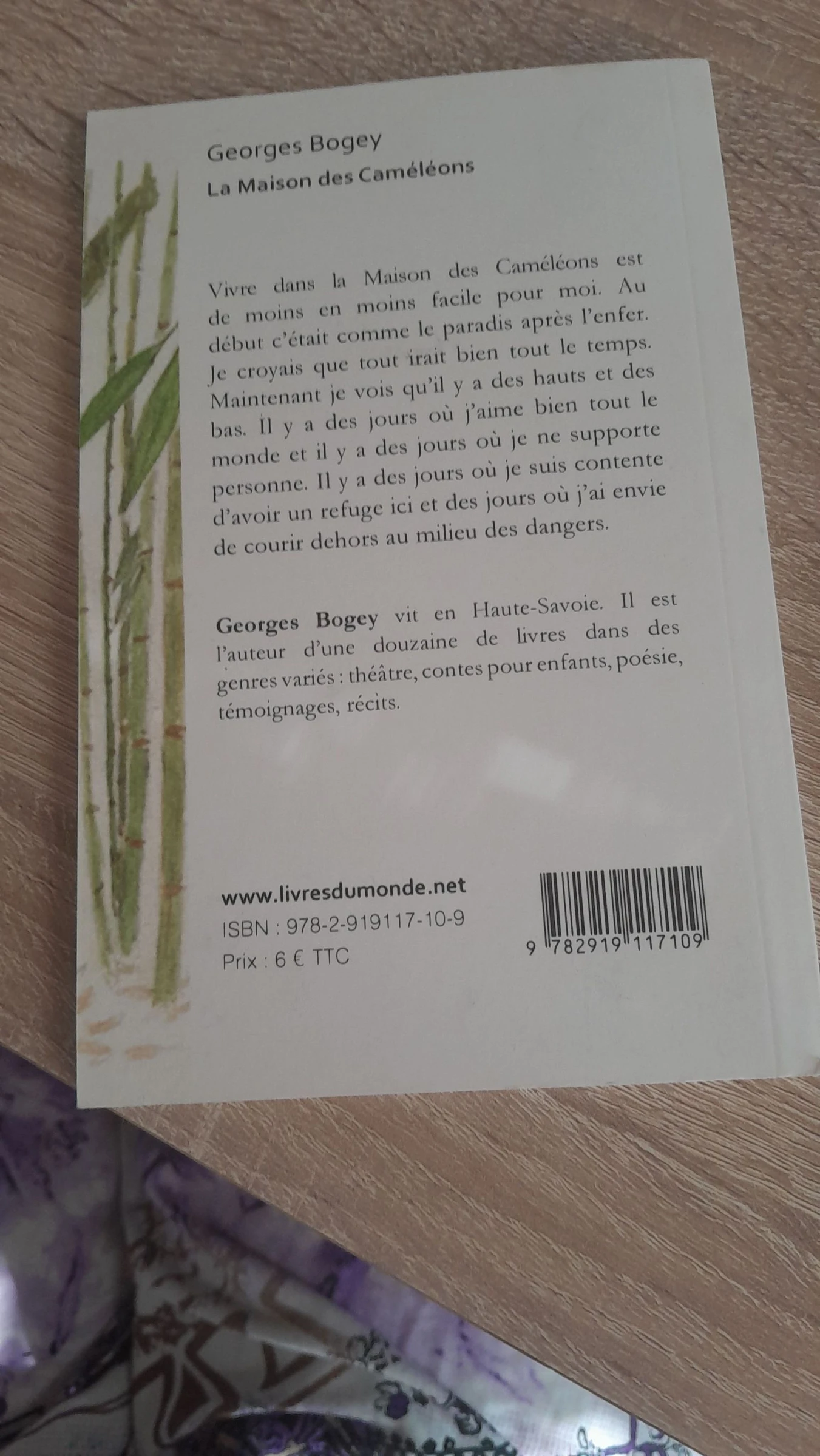 Petit roman humain, fluide qui change – photo 2